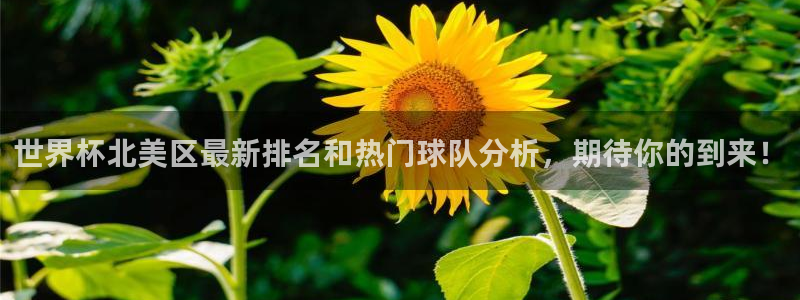足球世界杯赛程：世界杯北美区最新排名和热门球队分析，期待你的到来！