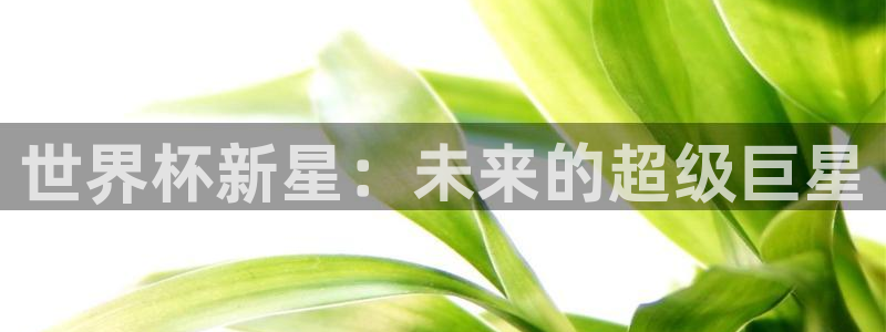英格兰联赛杯直播：世界杯新星：未来的超级巨星