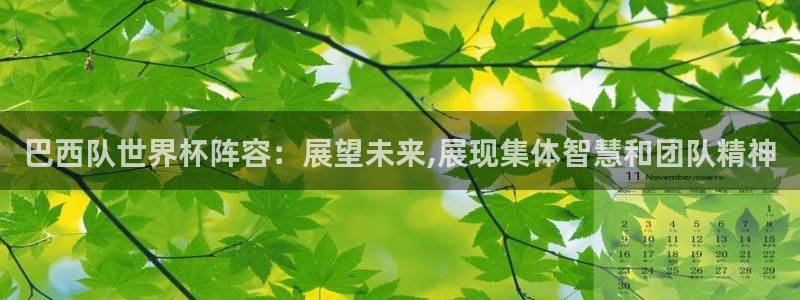 2026足球世界杯：巴西队世界杯阵容：展望未来,展现集体智慧和团队精神