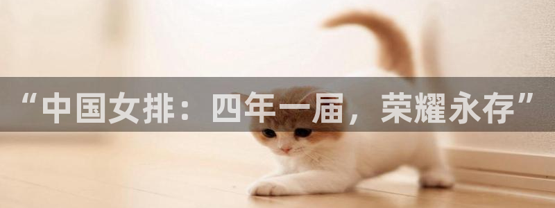 国际足联世界杯：“中国女排：四年一届，荣耀永存”