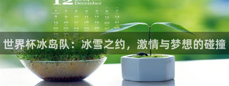 2026世界杯赛程表完整版：世界杯冰岛队：冰雪之约，激情与梦想的碰撞