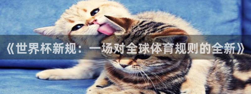 世界杯葡萄牙赛程：《世界杯新规：一场对全球体育规则的全新》