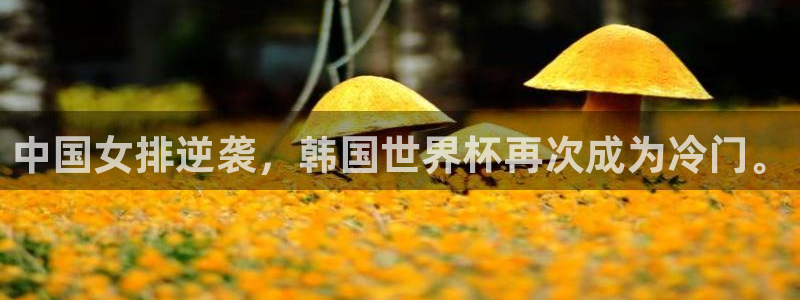 女足世界杯赛程：中国女排逆袭，韩国世界杯再次成为冷门。
