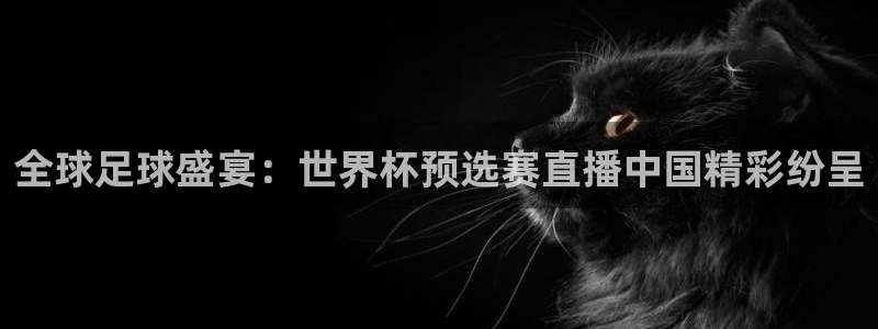 世界杯女足直播：全球足球盛宴：世界杯预选赛直播中国精彩纷呈