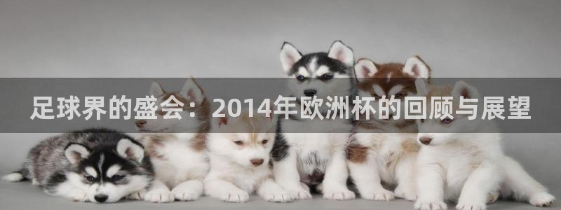 世界杯直播免费观看：足球界的盛会：2014年欧洲杯的回顾与展望
