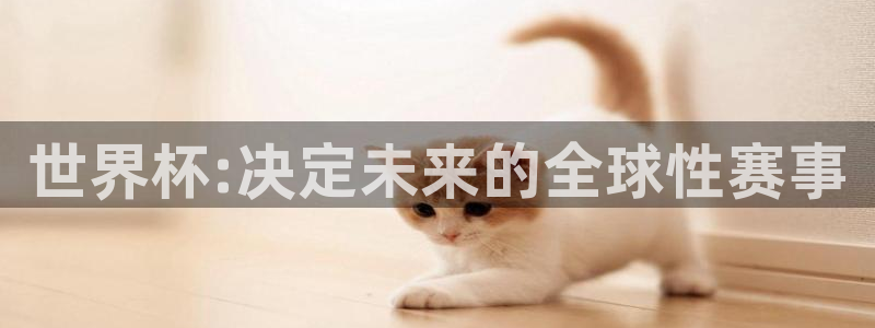2026年足球世界杯赛程时间表：世界杯:决定未来的全球性赛事