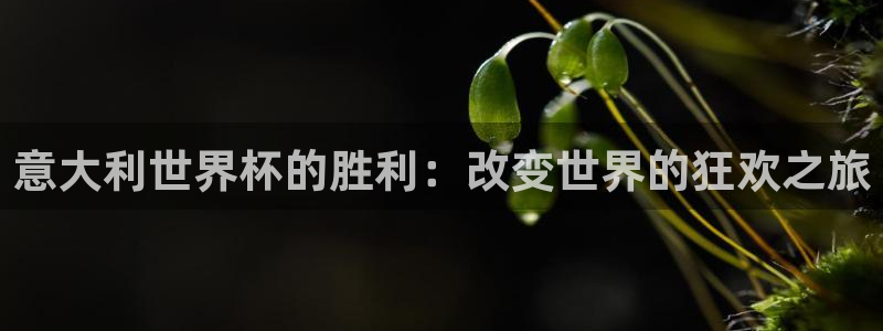 2026世界杯32强对阵图表:意大利世界杯的胜利:改变世界的狂欢之旅