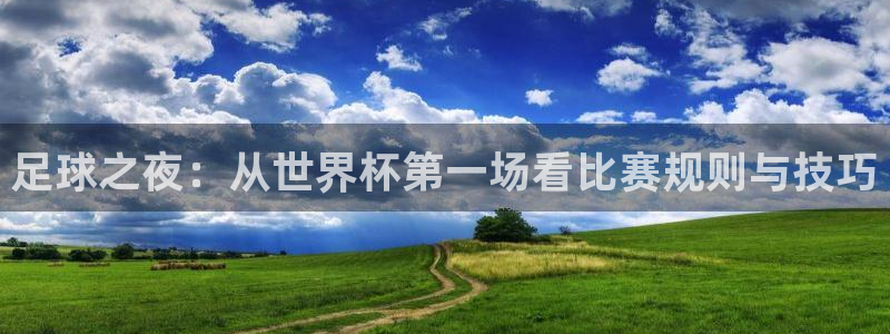 26世界杯：足球之夜：从世界杯第一场看比赛规则与技巧