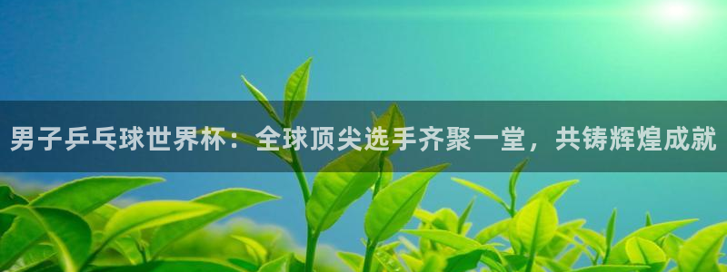 2006年世界杯冠军：男子乒乓球世界杯：全球顶尖选手齐聚一堂，共铸辉煌成就