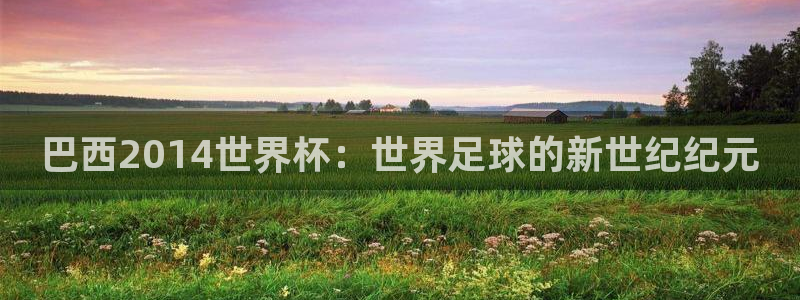 美洲杯直播：巴西2014世界杯：世界足球的新世纪纪元