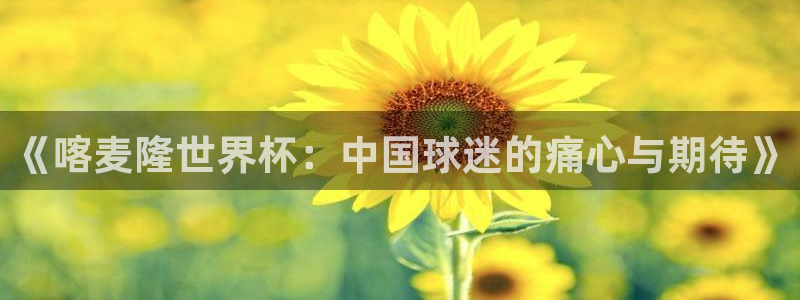 世界杯决赛圈球队：《喀麦隆世界杯：中国球迷的痛心与期待》